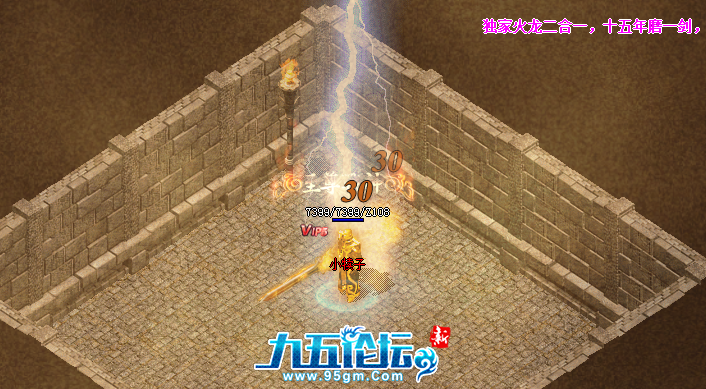 转生渡劫效果.png