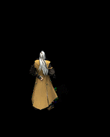 5.gif