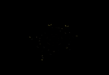 7.gif