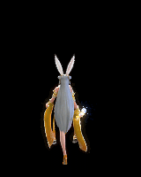 1.gif