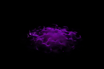 9.gif