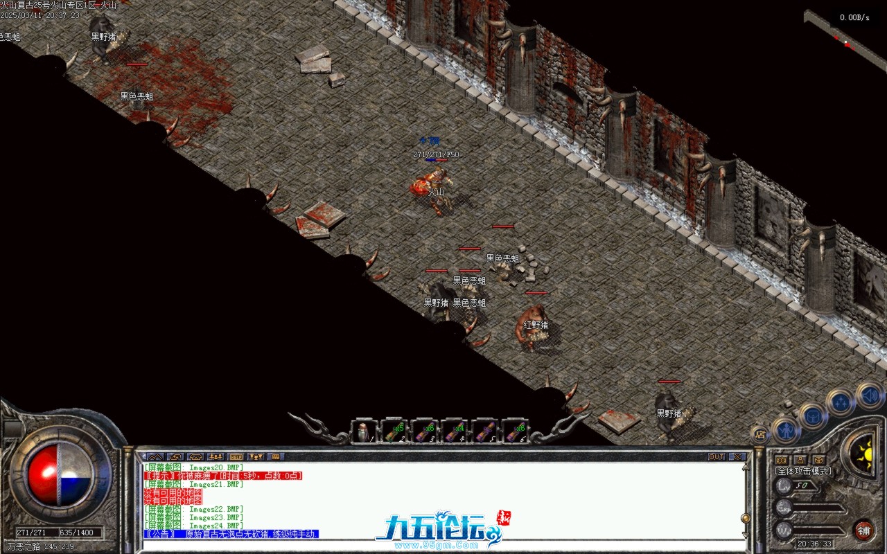 Images25.BMP.jpg