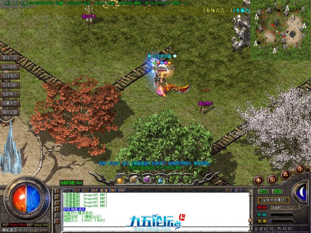 Images69.BMP.jpg