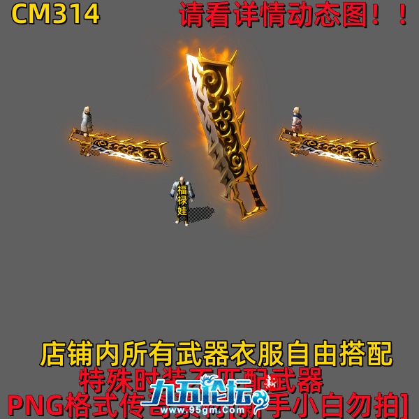 CM314.png