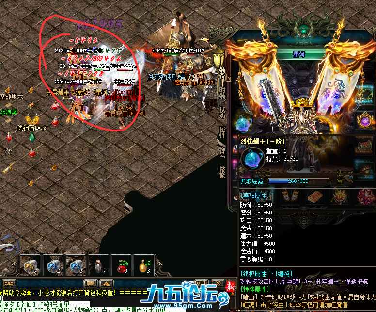 蝙蝠展示.png